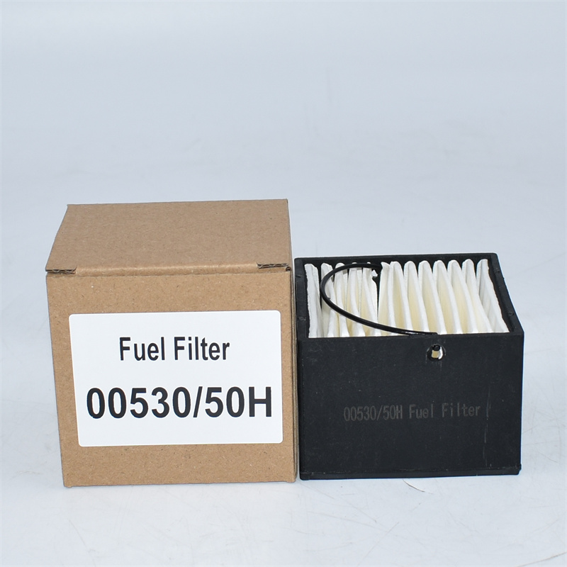 00530-50H Kraftstofffilter E0530K02
