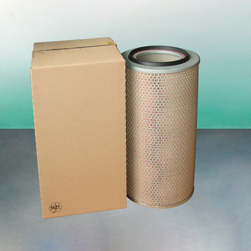 Luftfilter C246501