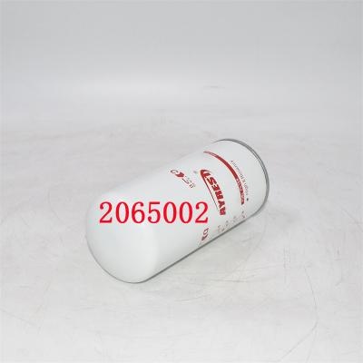 2065002 Kraftstofffilter 2002041593 Ersatz