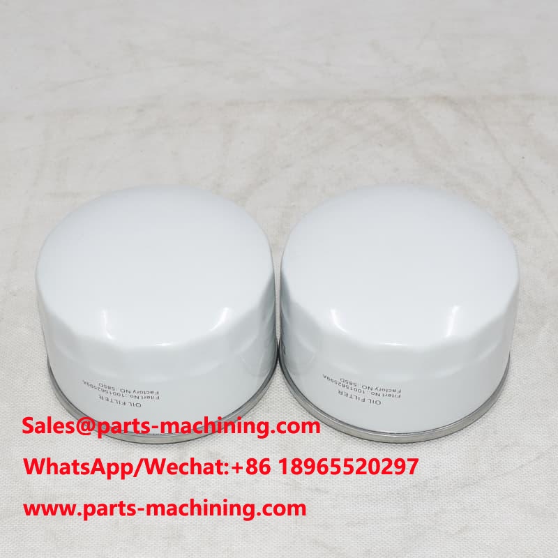 Oil Filter 1001562599A